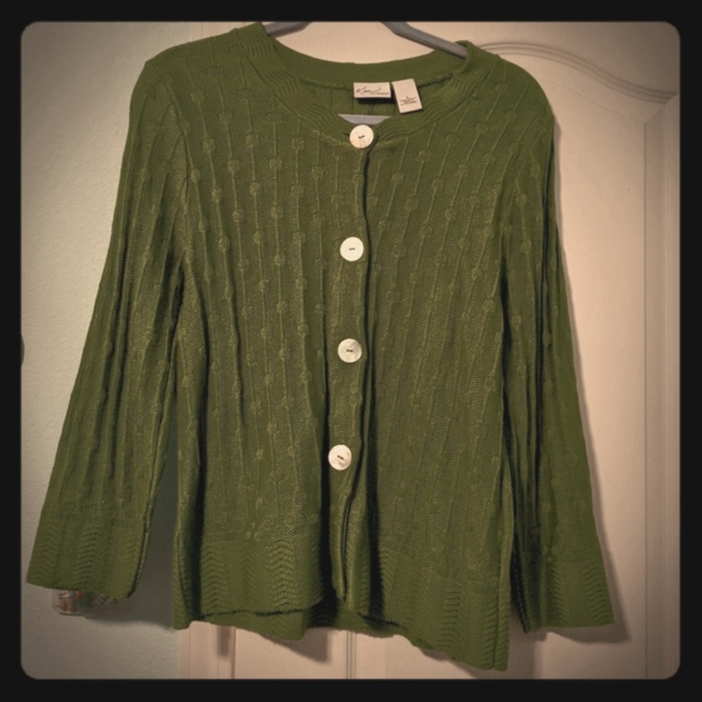 NWOT Green Sweater by Kim Rogers size L